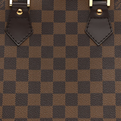 Louis Vuitton Damier Ebene Alma 14 of 19