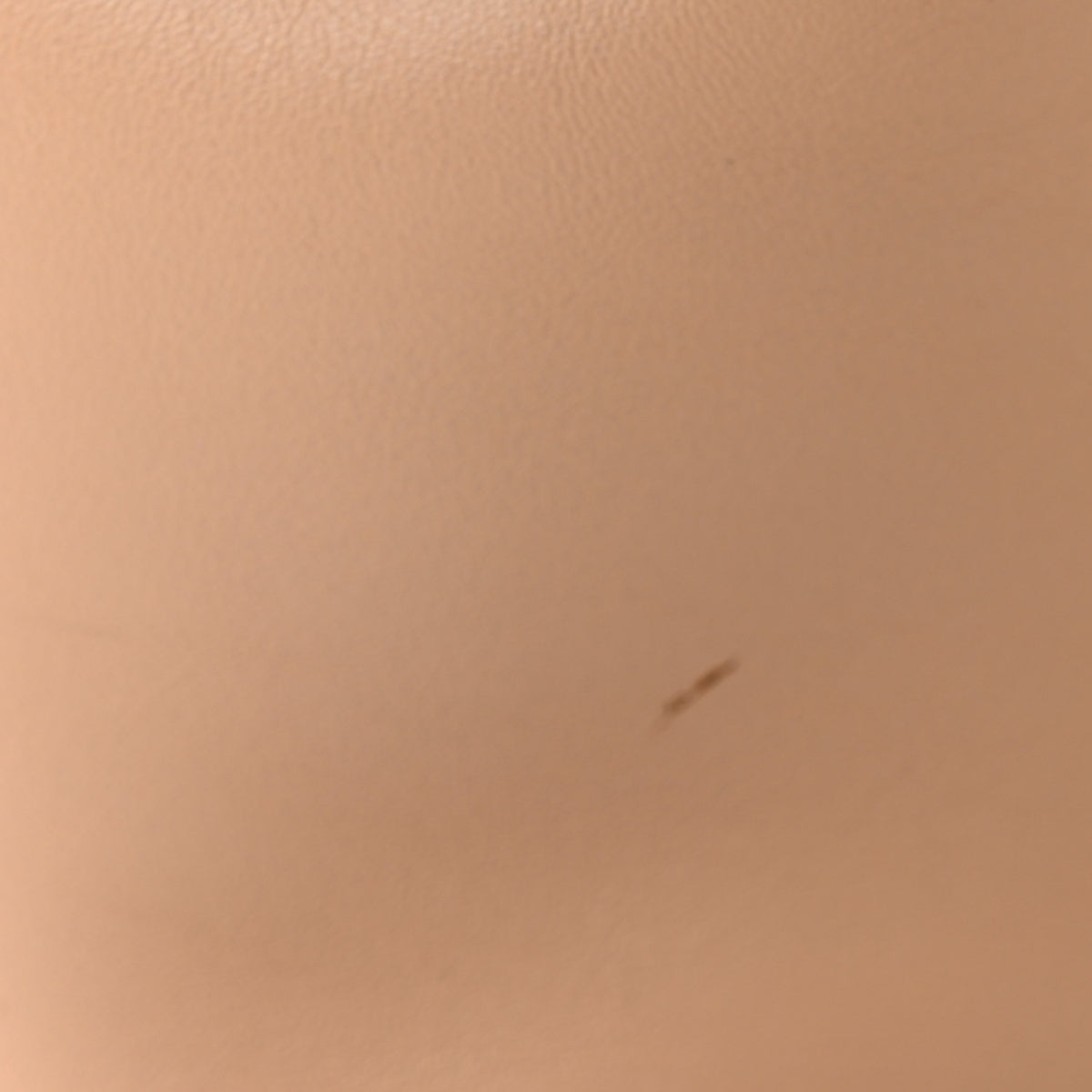 Chloe Calfskin Gala Small Bucket Bag Blush Nude 10 of 11