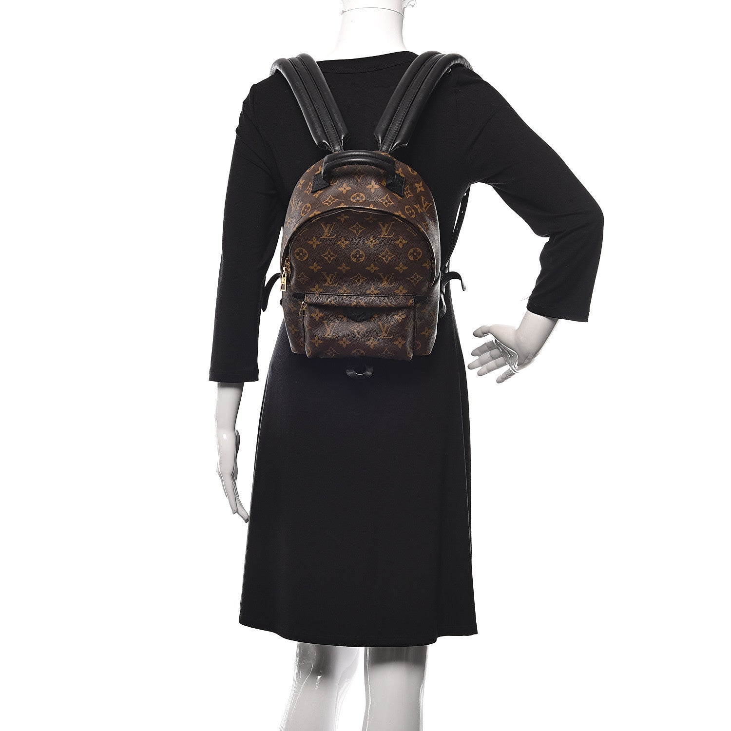 Louis Vuitton Monogram Palm Springs Backpack PM 2 of 11