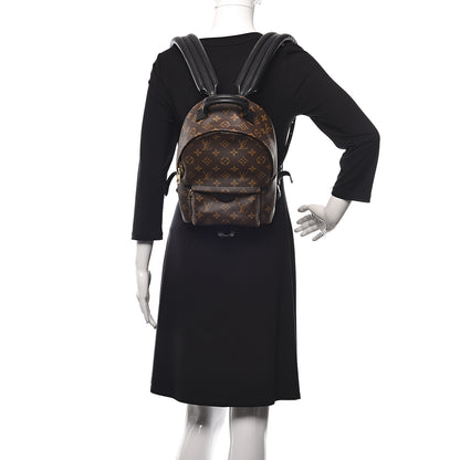 Louis Vuitton Monogram Palm Springs Backpack PM 2 of 11