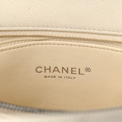 Chanel Caviar Lizard Quilted Small Coco Handle Flap Ivory 4 of 24