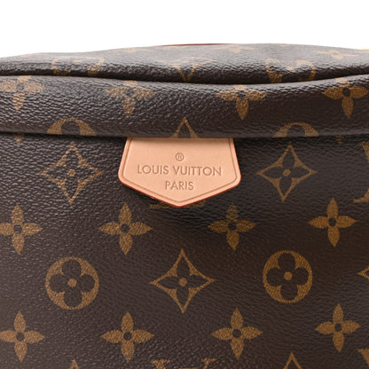 Louis Vuitton Monogram Bumbag 6 of 8