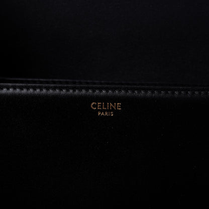 Celine Shiny Calfskin Nano Triomphe Black 8 of 8