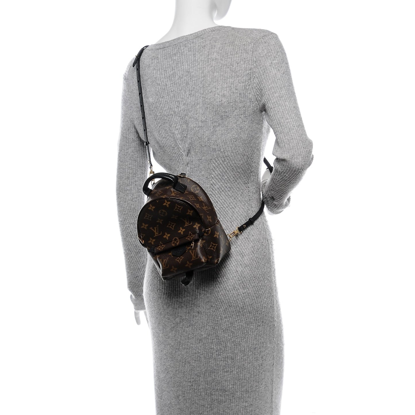 Monogram Palm Springs Backpack Mini