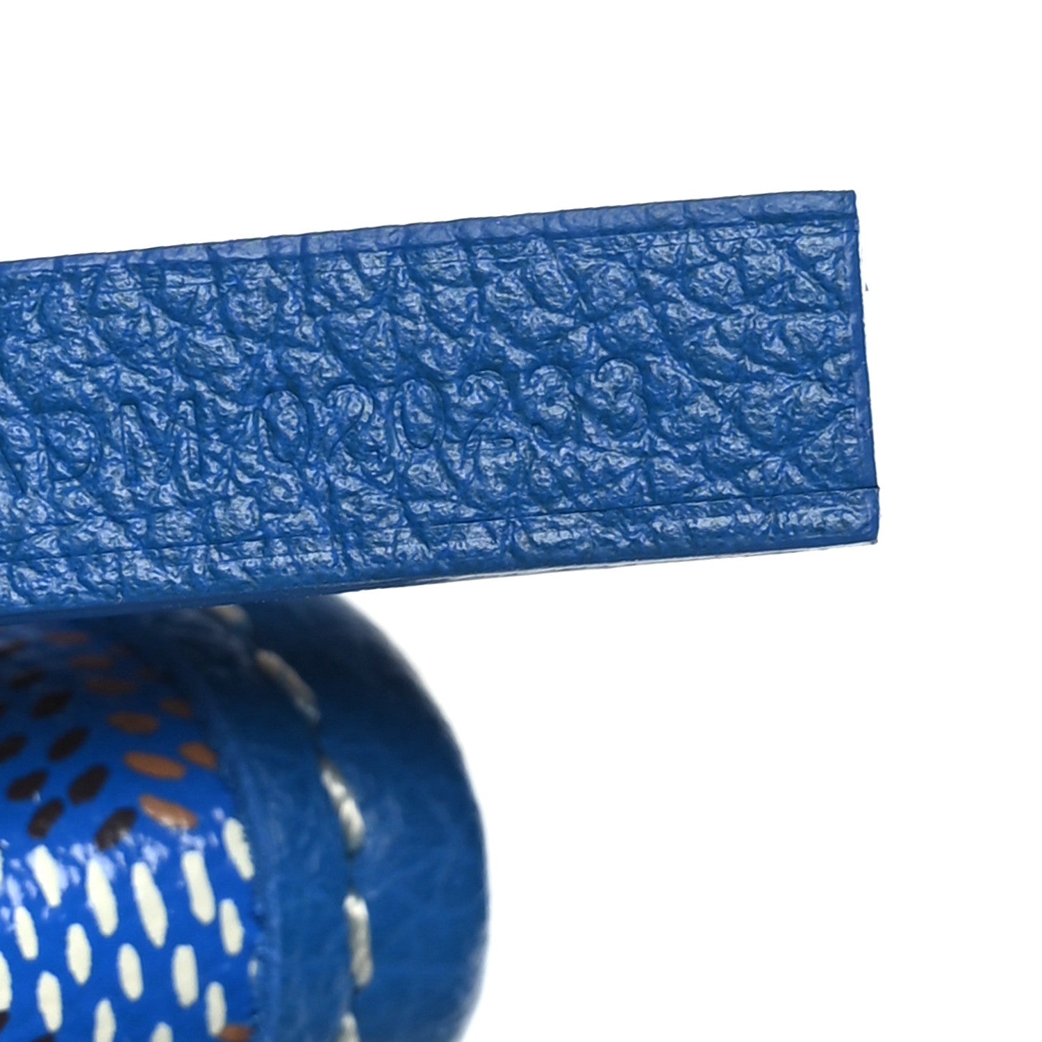Goyard Goyardine Saint Louis PM Sky Blue 8 of 11