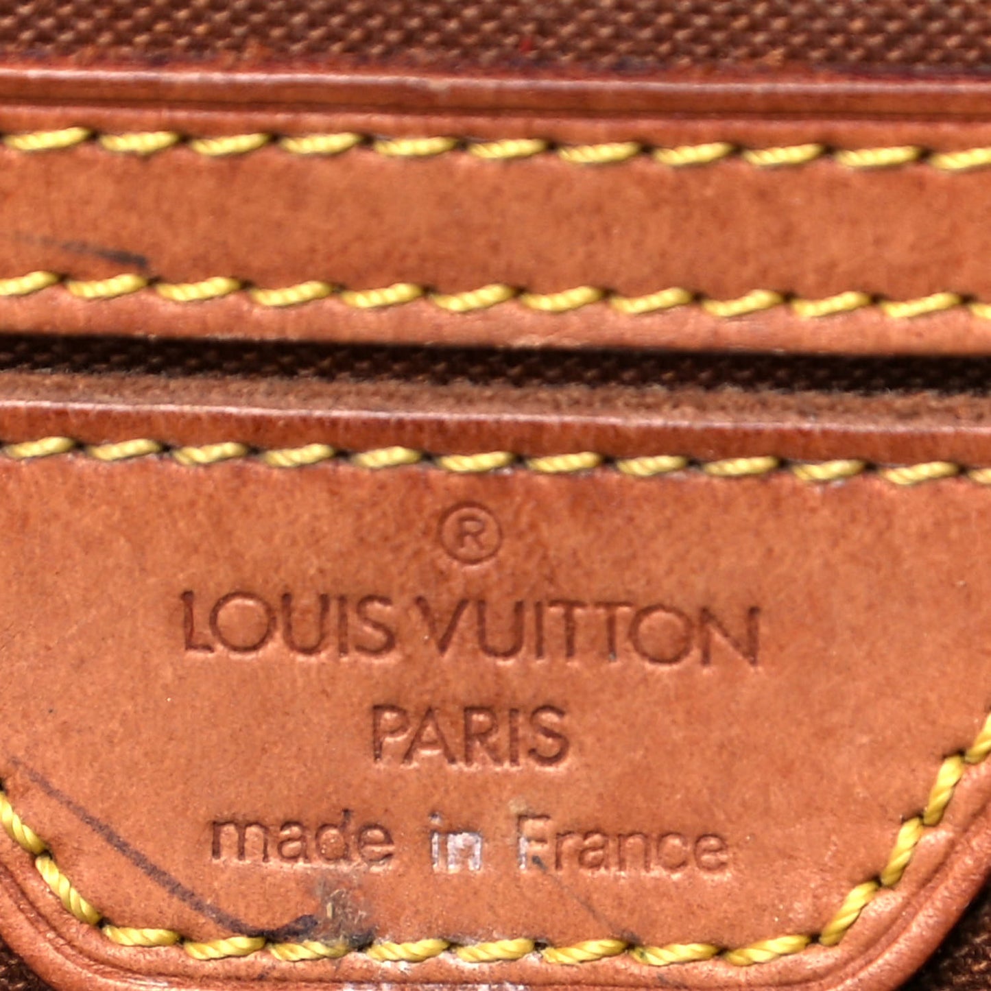 Monogram Montsouris GM Backpack