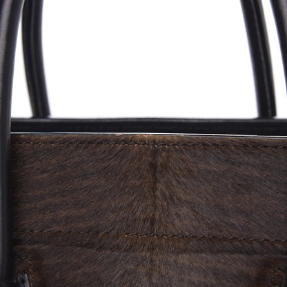 Celine Shaded Pony Hair Calfskin Medium Phantom Luggage Brown 16 of 16