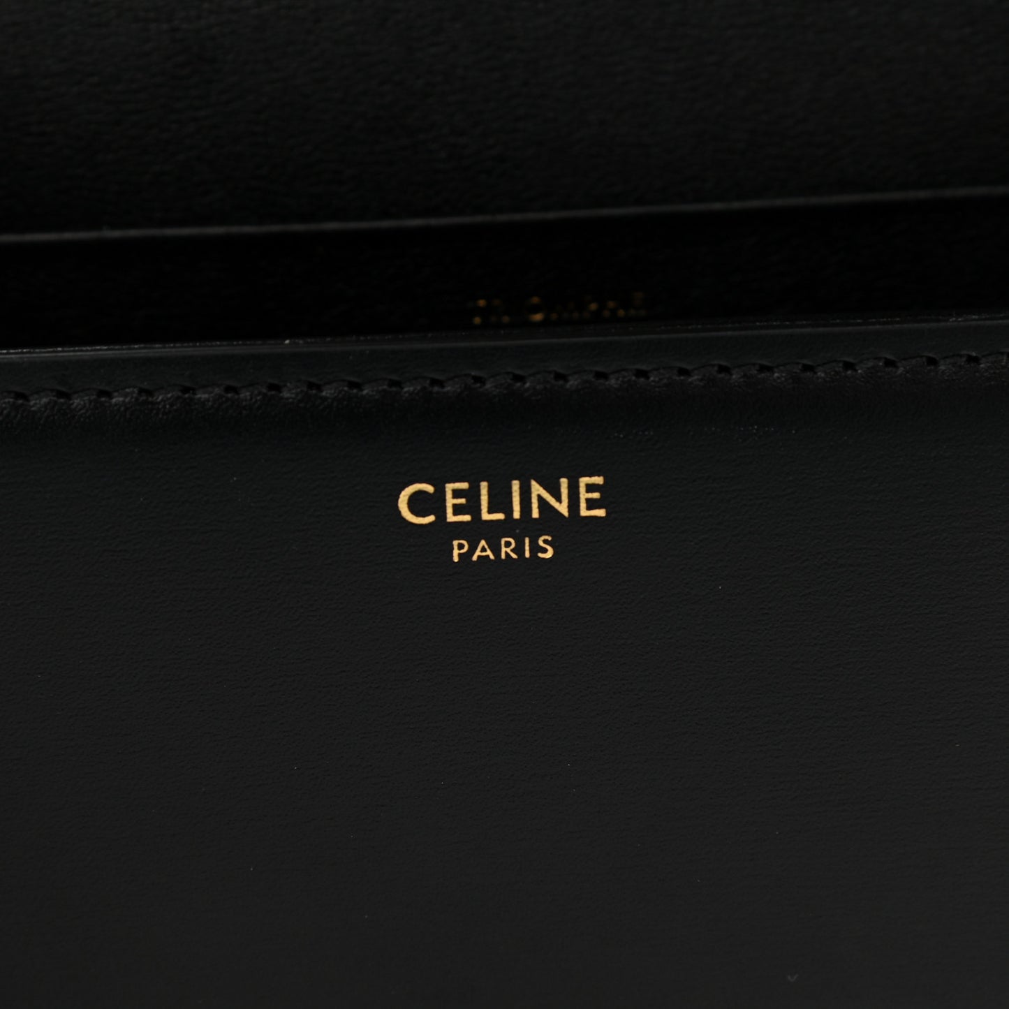 Shiny Calfskin Nano Triomphe Black