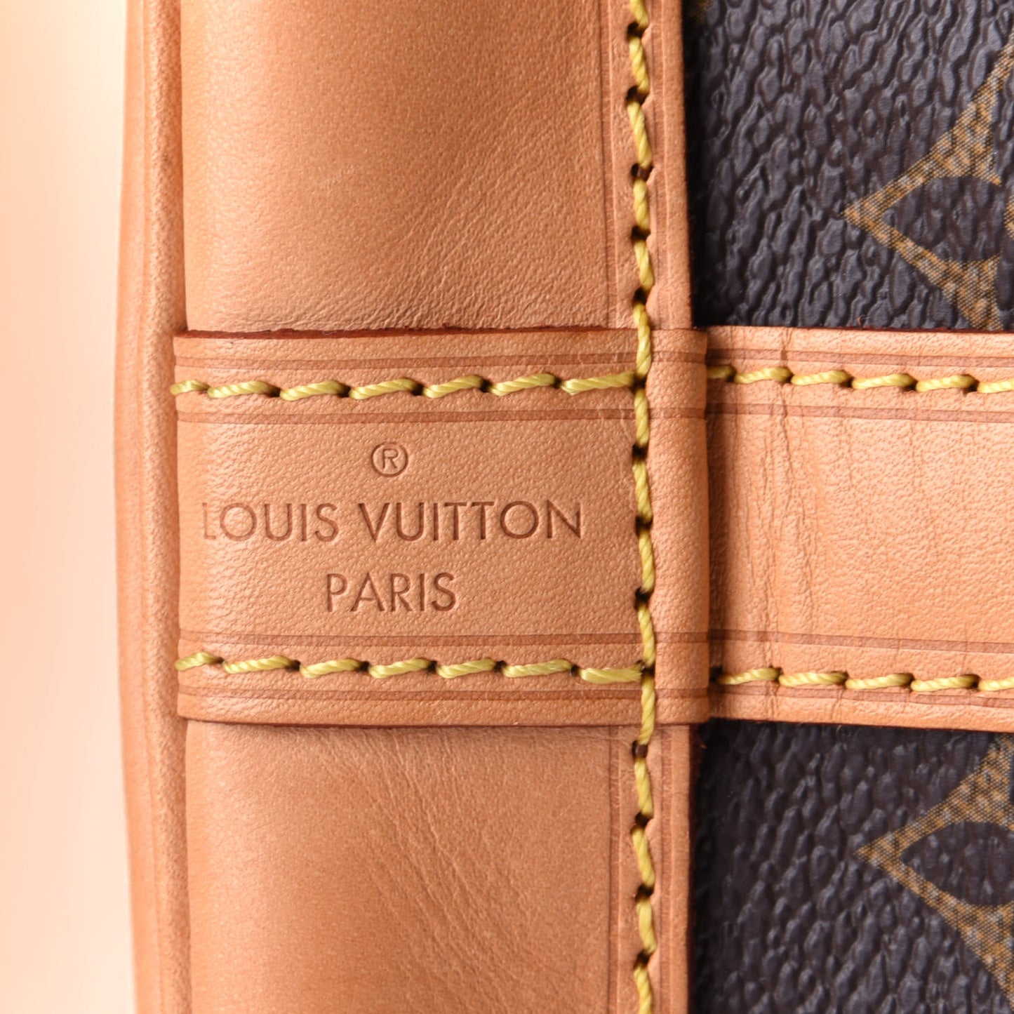 Monogram Petit Noe NM