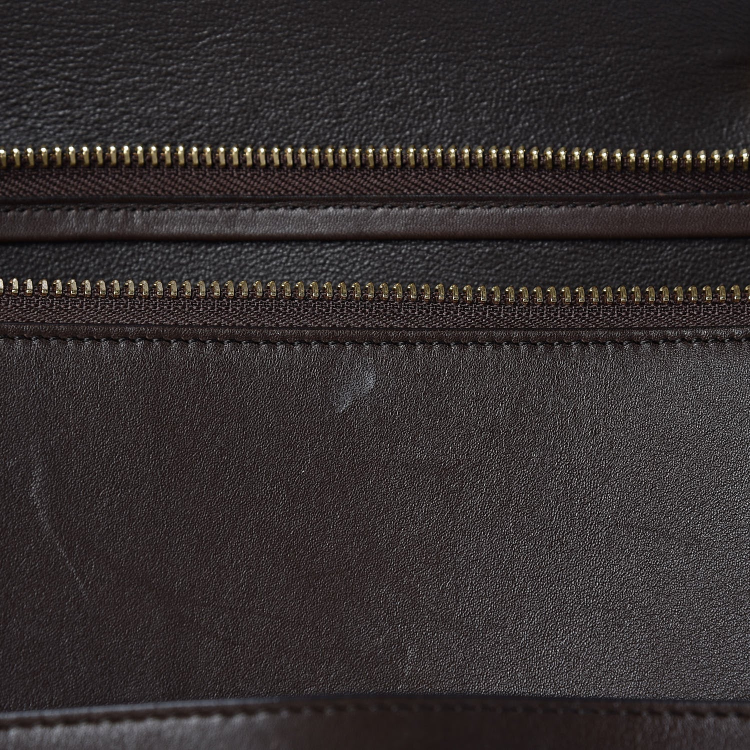 Celine Supersoft Calfskin Mini Belt Bag Wood 10 of 16
