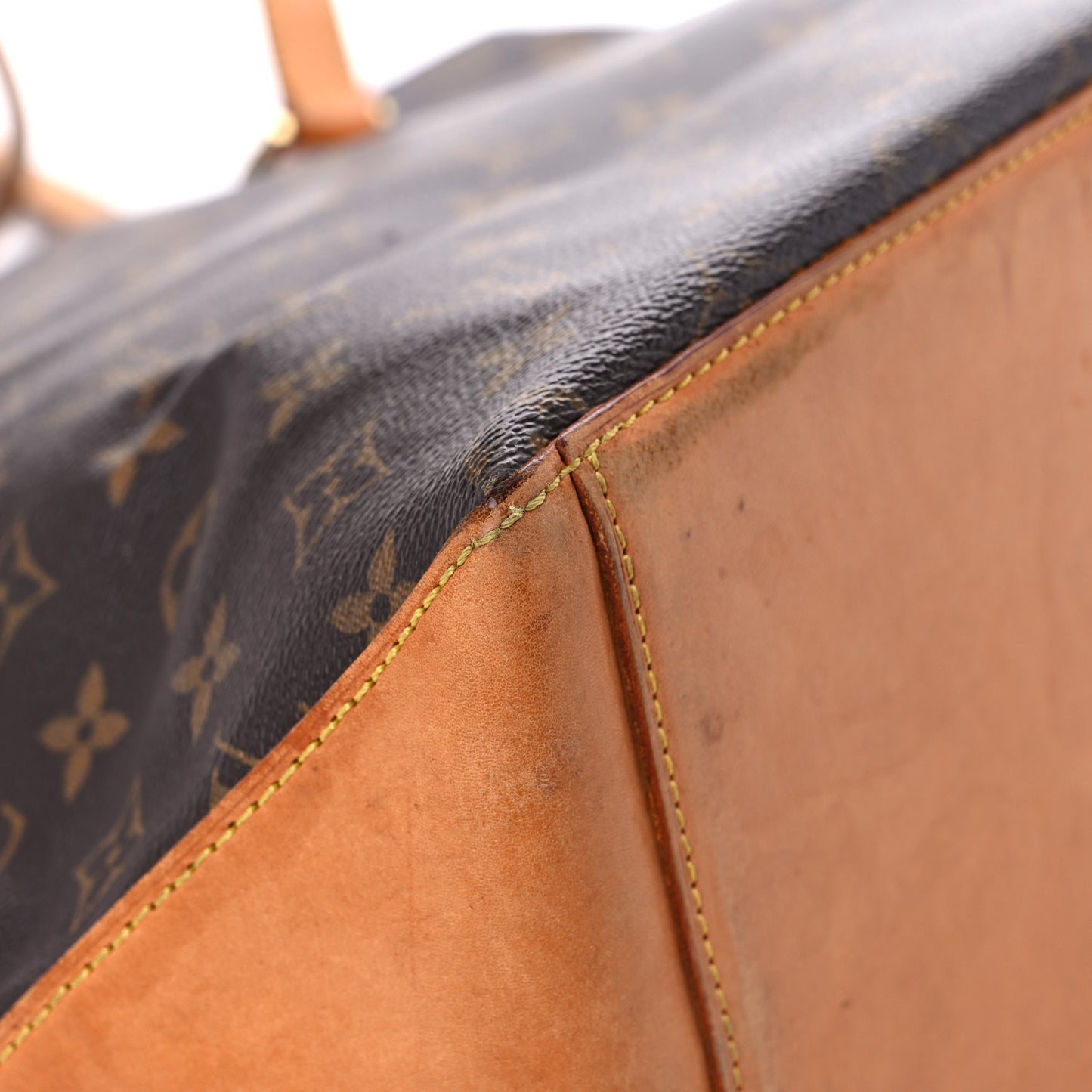 Monogram Cabas Mezzo