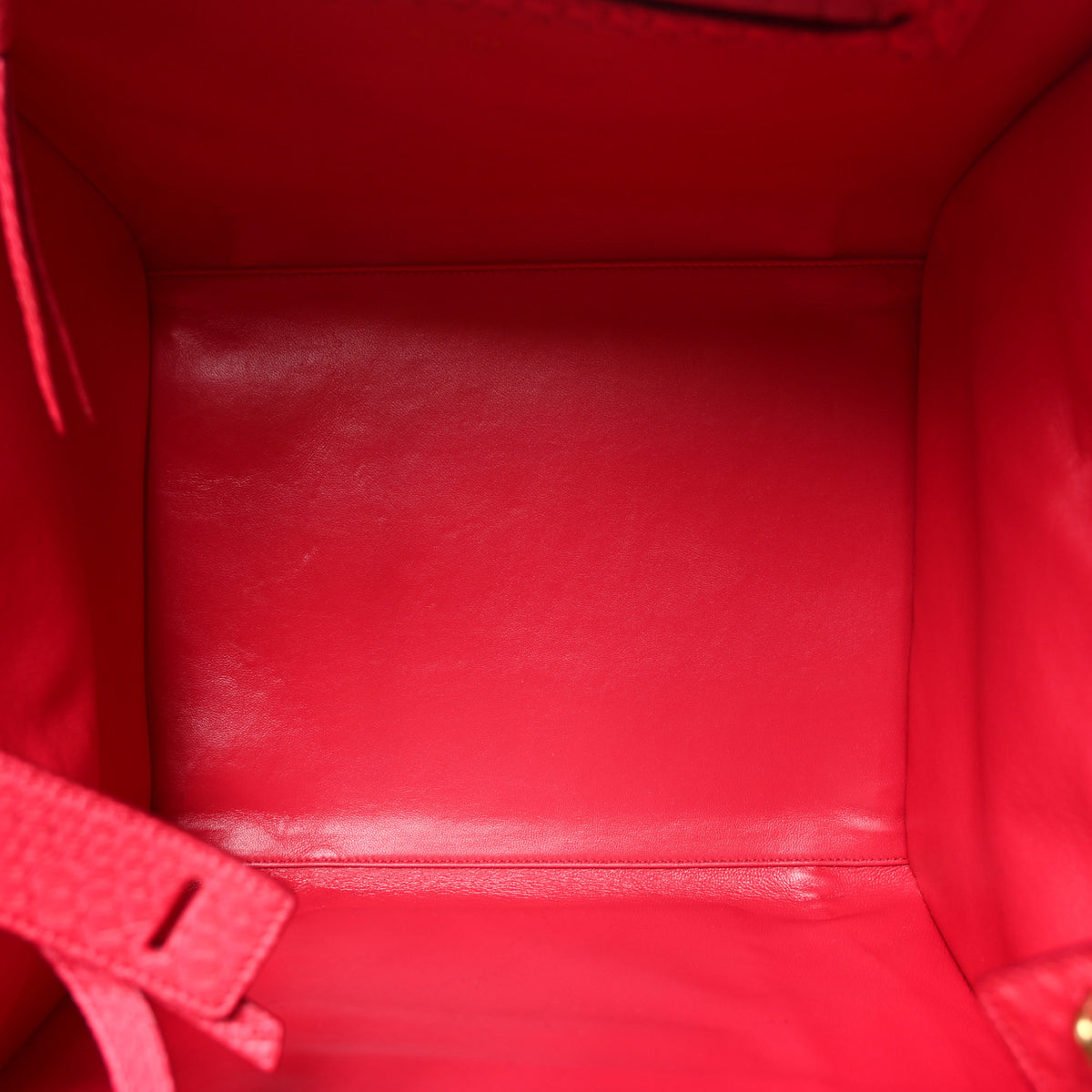 Snakeskin Medium Phantom Luggage Fuchsia