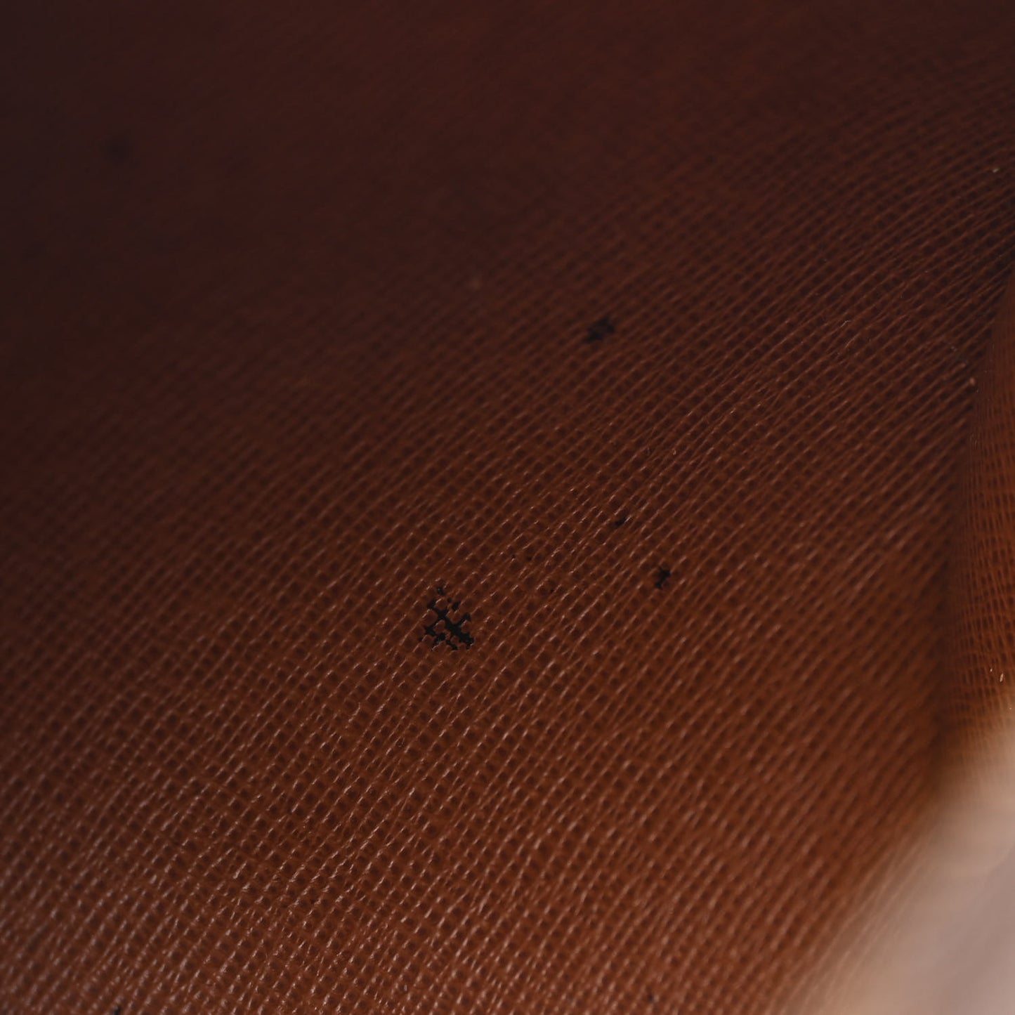 Monogram Papillon 26