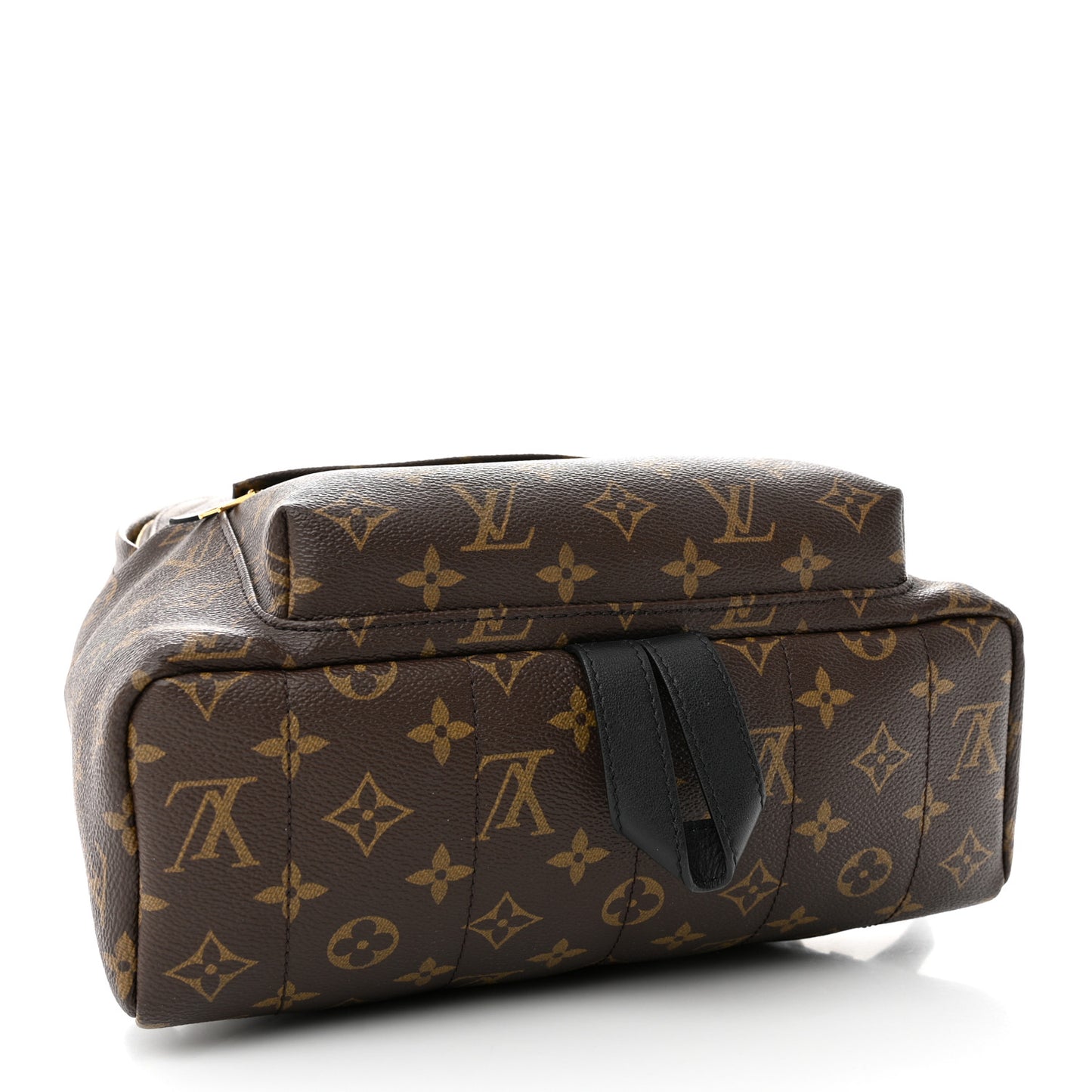 Monogram Palm Springs Backpack MM