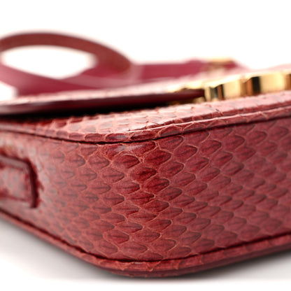 Celine Watersnake Teen Triomphe Ruby 9 of 11