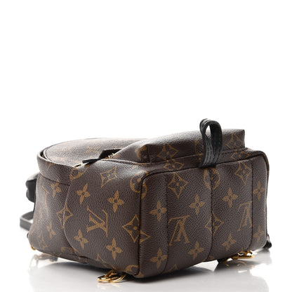 Louis Vuitton Monogram Palm Springs Backpack Mini 4 of 7
