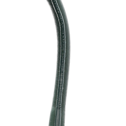 Celine Supple Calfskin Medium Phantom Luggage Emerald 15 of 20