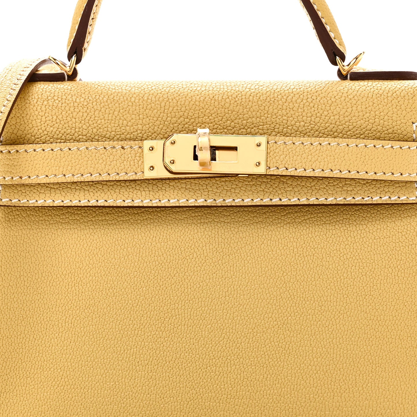 Chevre Mysore Mini Kelly Sellier 20 Foin