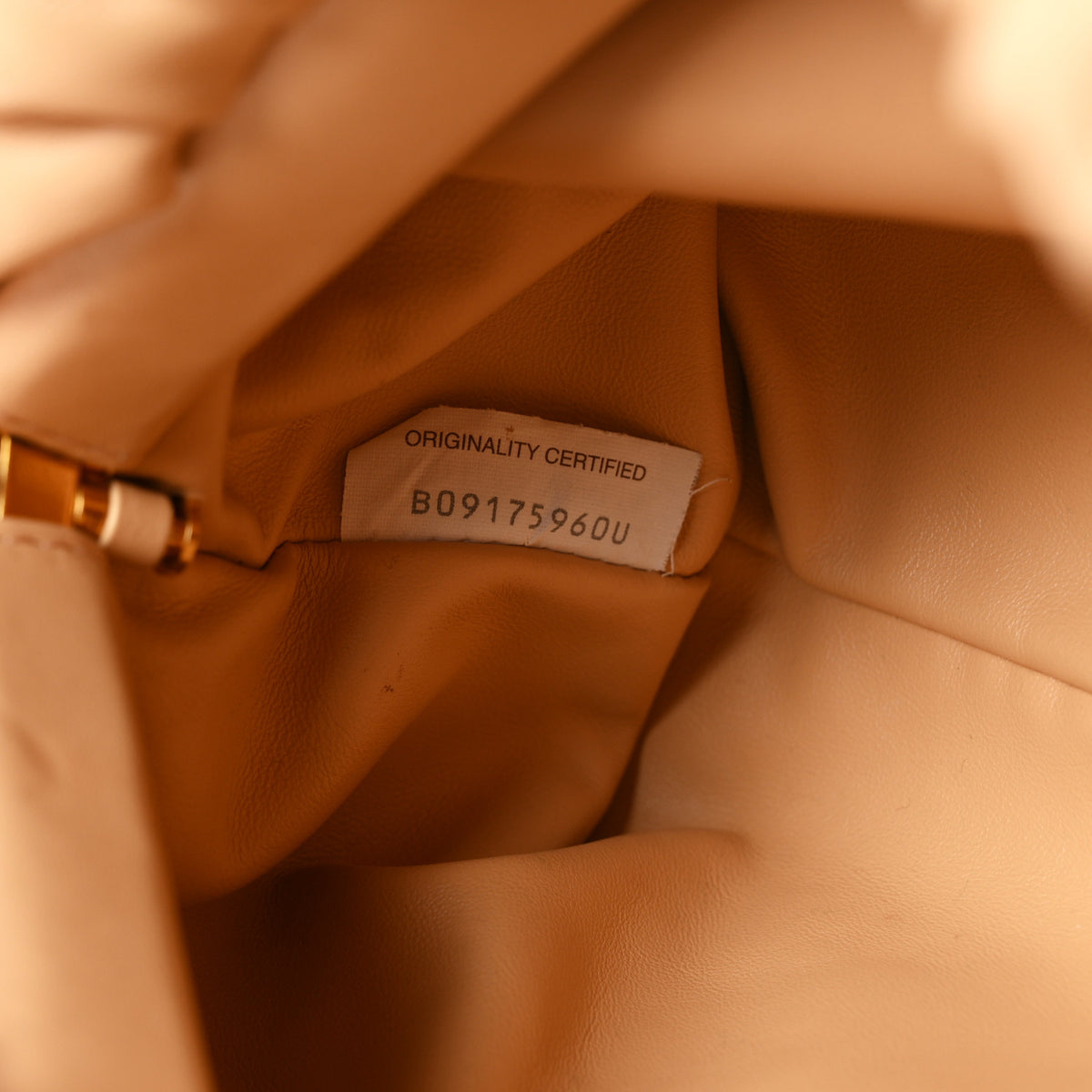 Calfskin The Pouch Chain Almond