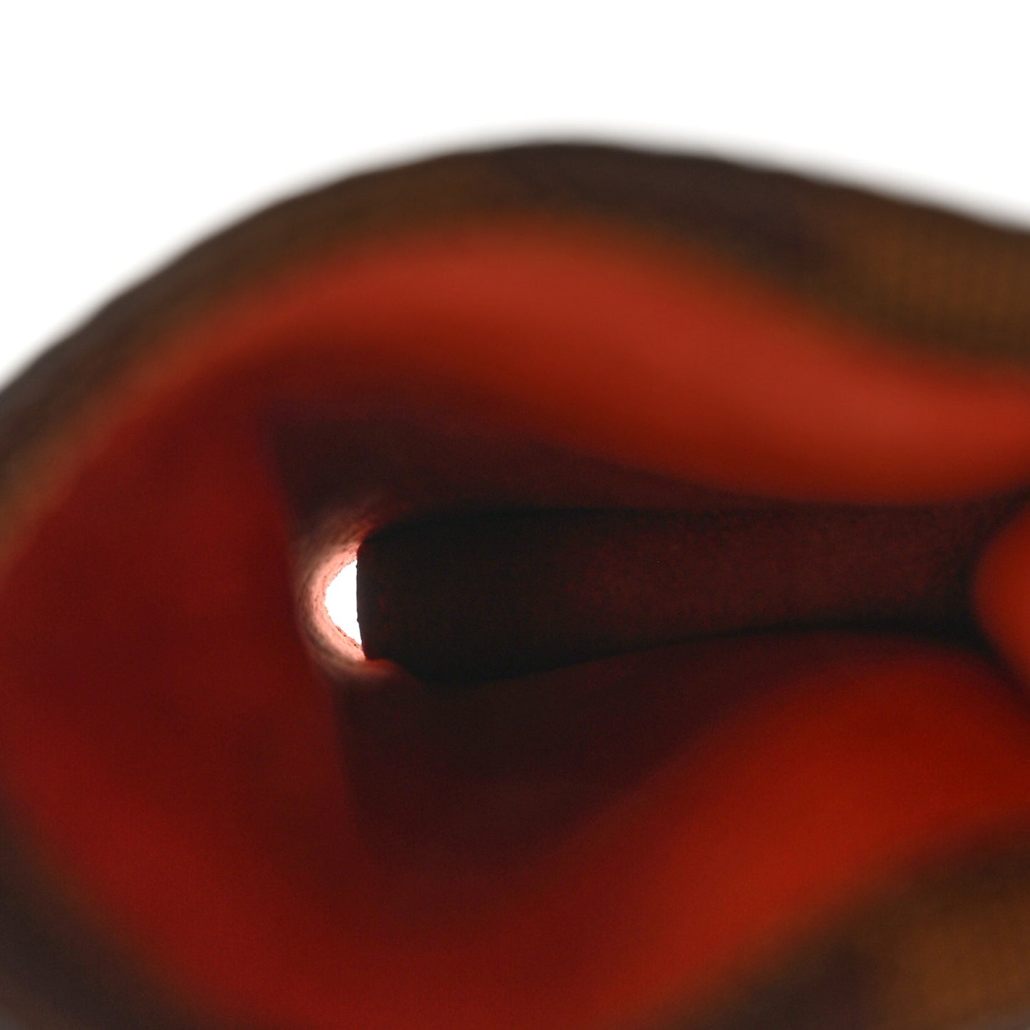 Damier Ebene Sunglasses Case