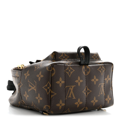 Louis Vuitton Monogram Palm Springs Backpack Mini 4 of 12