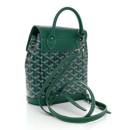 Goyard Goyardine Calfskin Mini Alpin Backpack Green 3 of 9