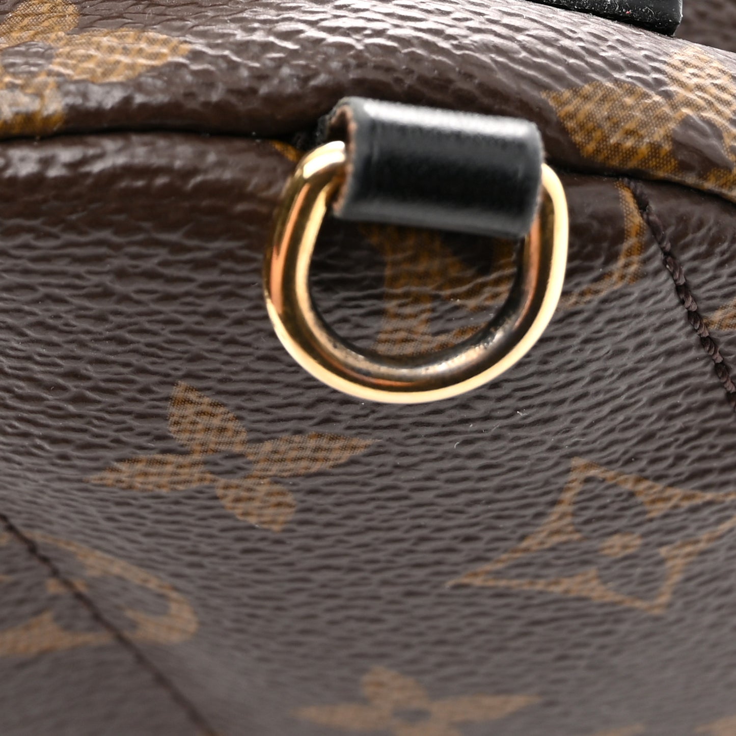 Monogram Palm Springs Backpack Mini