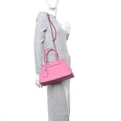 Moynat Taurillon Gex Pauline Tote Bougainvillier 2 of 13