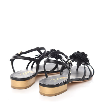 Chanel Calfskin Camellia Sandals 35.5 Black 4 of 8