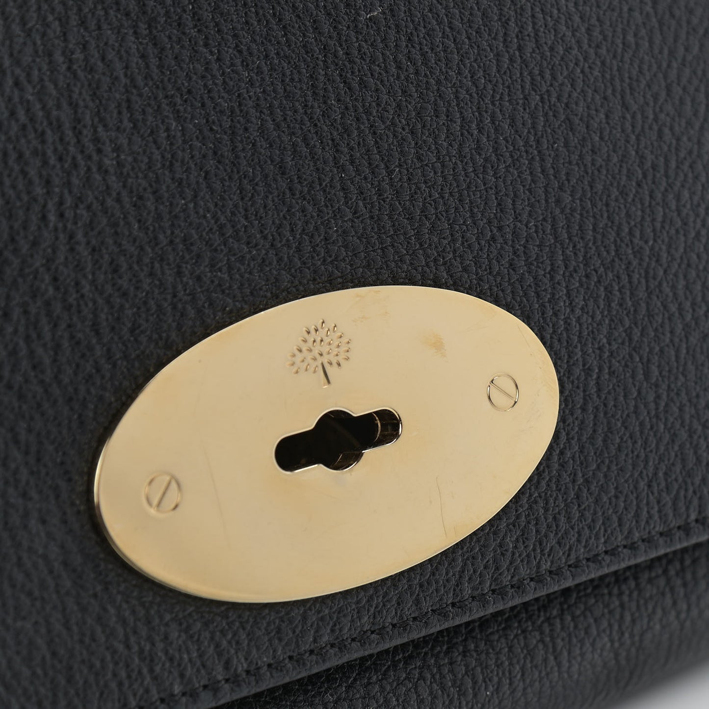 Glossy Goatskin Small Lily Flap Black