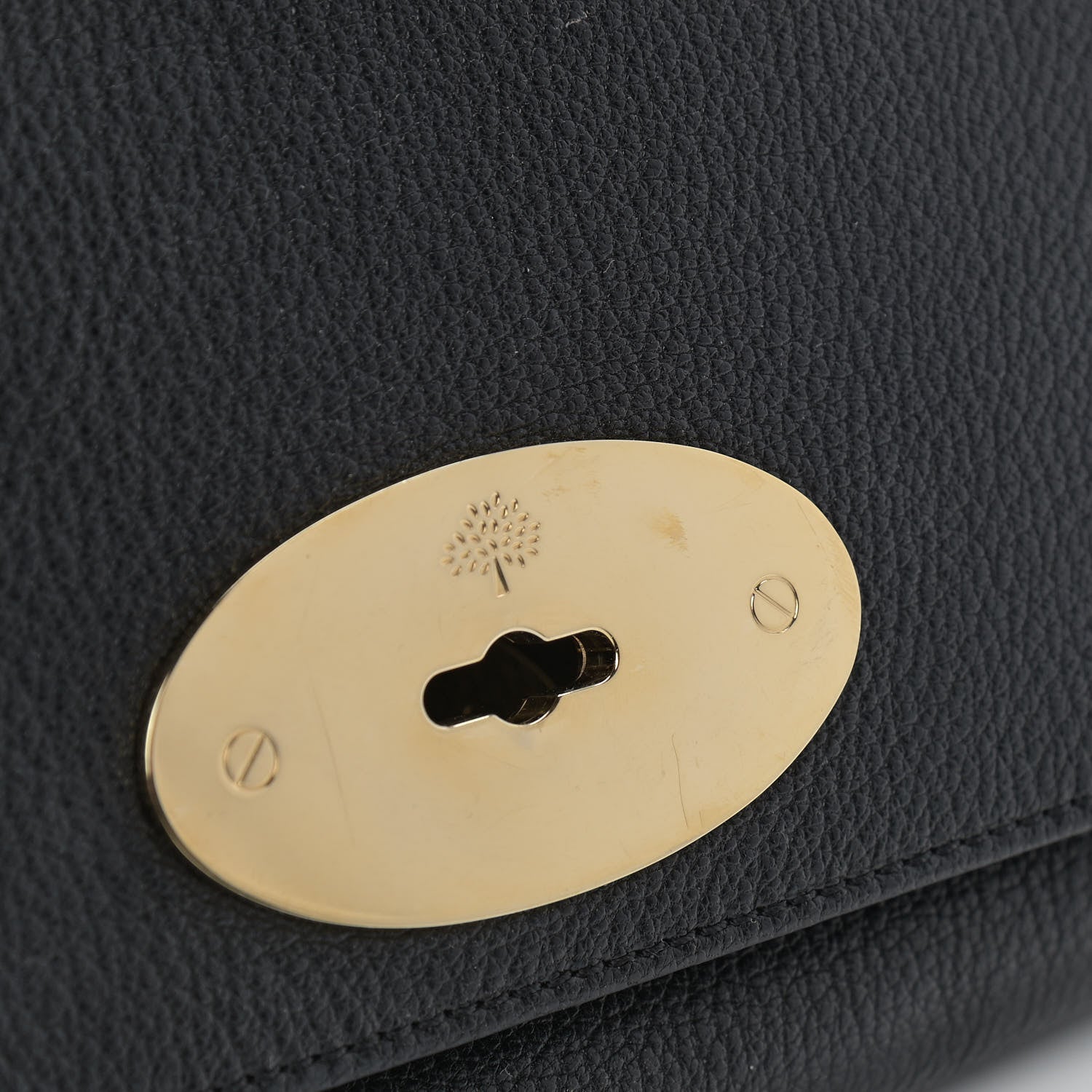 Mulberry Glossy Goatskin Small Lily Flap Black 15 of 17