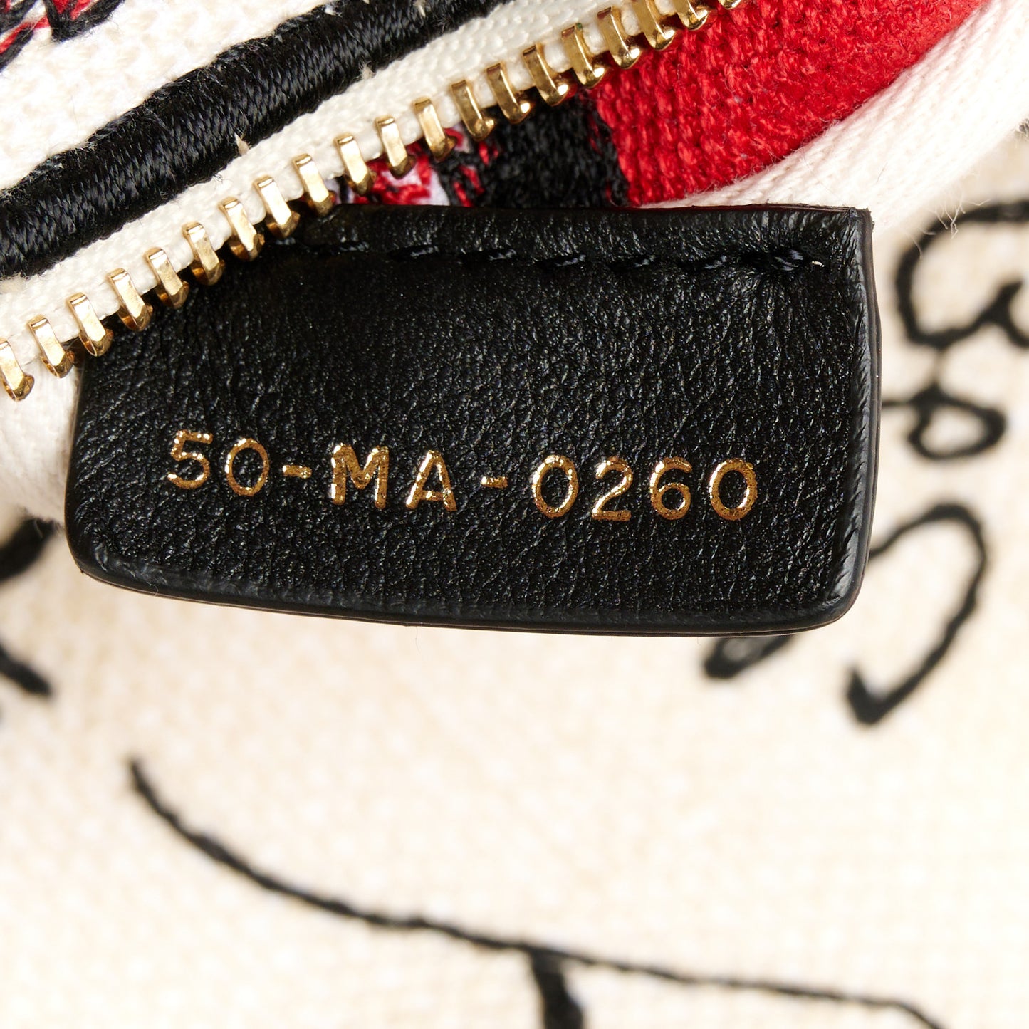 Canvas Medium DiorAmour Graffiti Lady D-Lite Latte