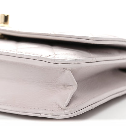 Chanel Lambskin Quilted Trendy CC Wallet On Chain WOC Lilac 11 of 14