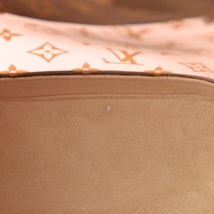 Louis Vuitton Vinyl Cabas Ambre PM 9 of 20