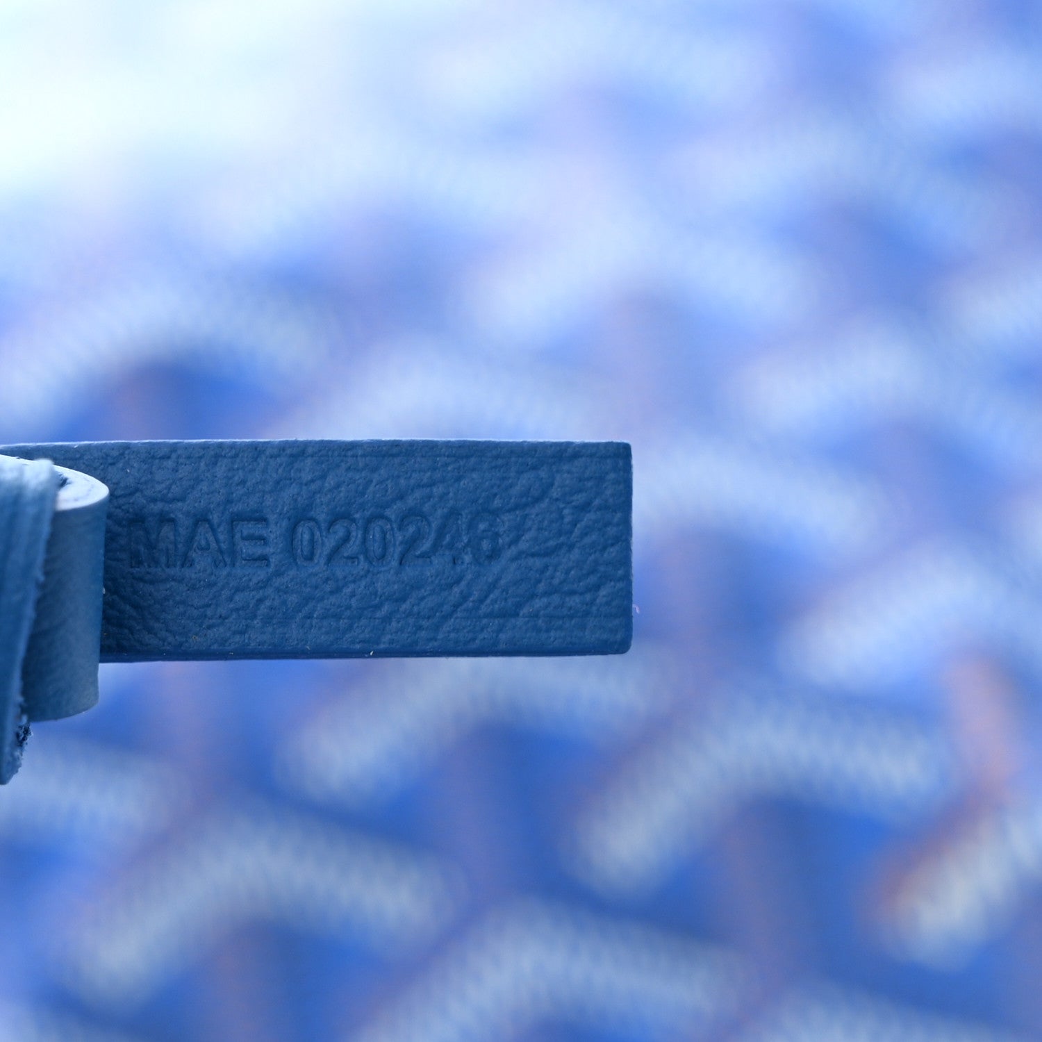 Goyard Goyardine Saint Louis PM Sky Blue 8 of 11