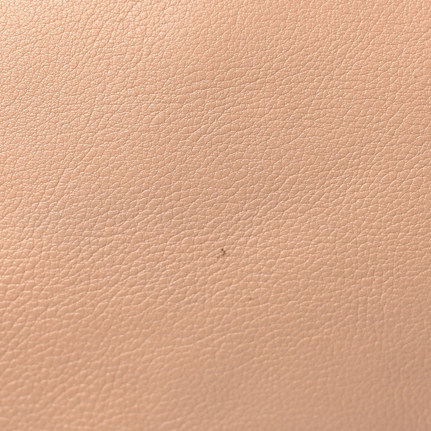 Calfskin Large Marcie Hobo Nude