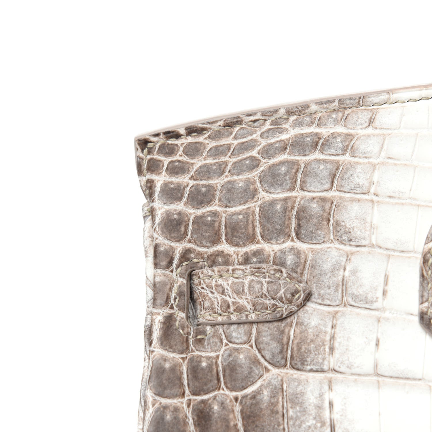 Hermes Matte Niloticus Crocodile Himalaya Birkin 25 Blanc 772025