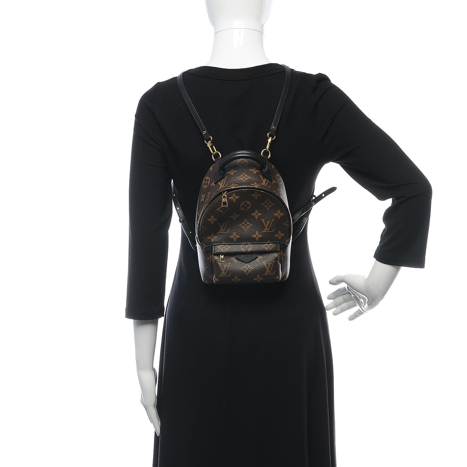 Louis Vuitton Monogram Palm Springs Backpack Mini 2 of 8