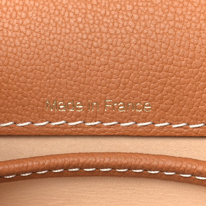 Delvaux Grained Rodeo Calfskin Surpique Mini Brillant Satchel Vegetal Ivory 8 of 12