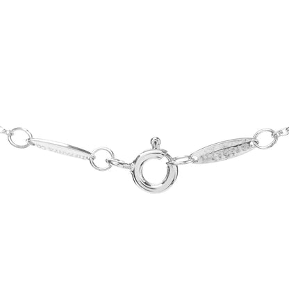 Tiffany Sterling Silver Aquamarine Elsa Peretti Color By The Yard Pendant Necklace 5 of 5