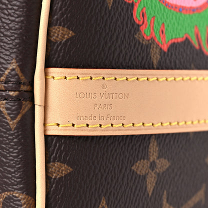 Louis Vuitton LV X YK Monogram Embroidered My Eternal Soul Speedy Bandouliere 25 Multicolor 6 of 8