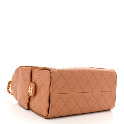 Chanel Caviar Quilted Small Chanel 25 Handbag Brown 4 of 11