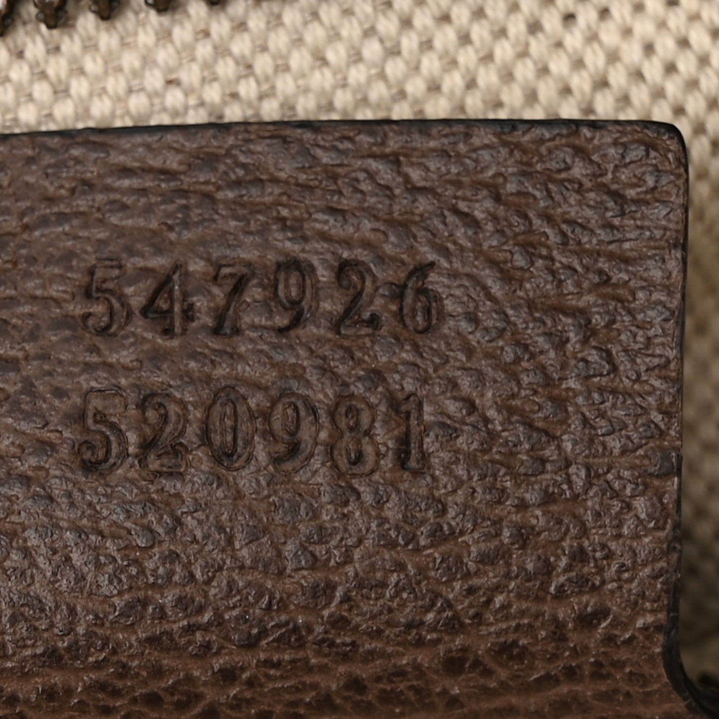 GG Supreme Monogram Web Small Ophidia Messenger Bag Brown