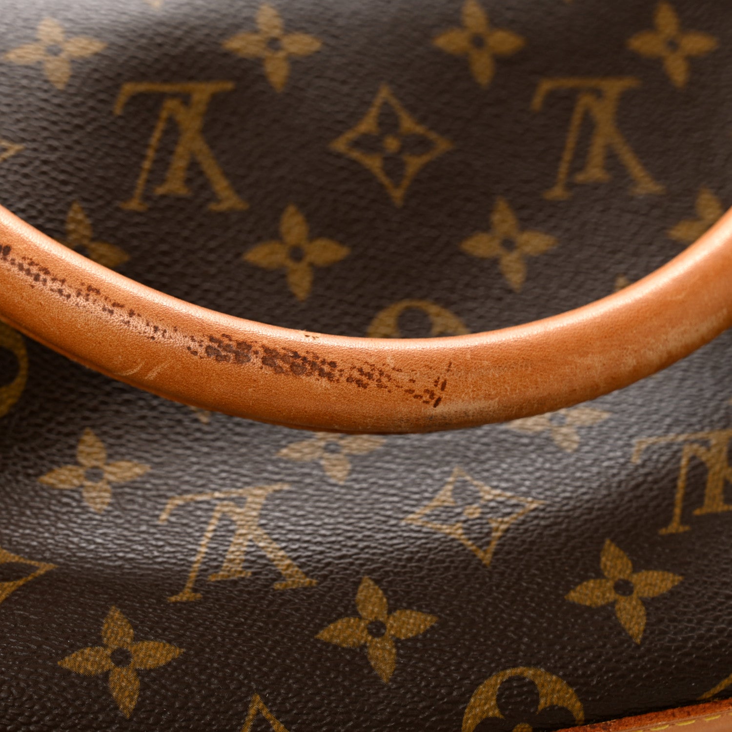 Louis Vuitton Monogram Sac Chien 50 Pet Carrier 14 of 15