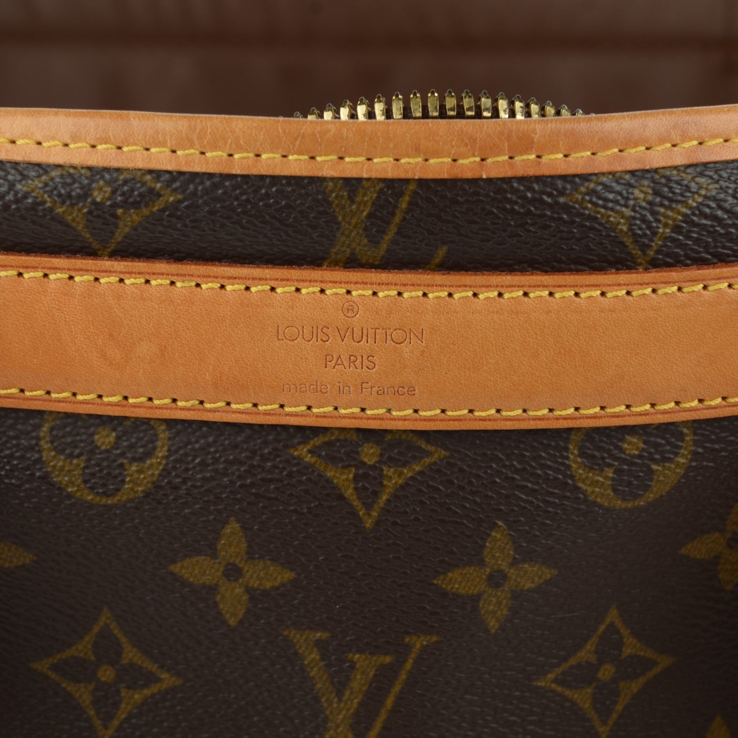 Monogram Sac Chien 40 Pet Carrier