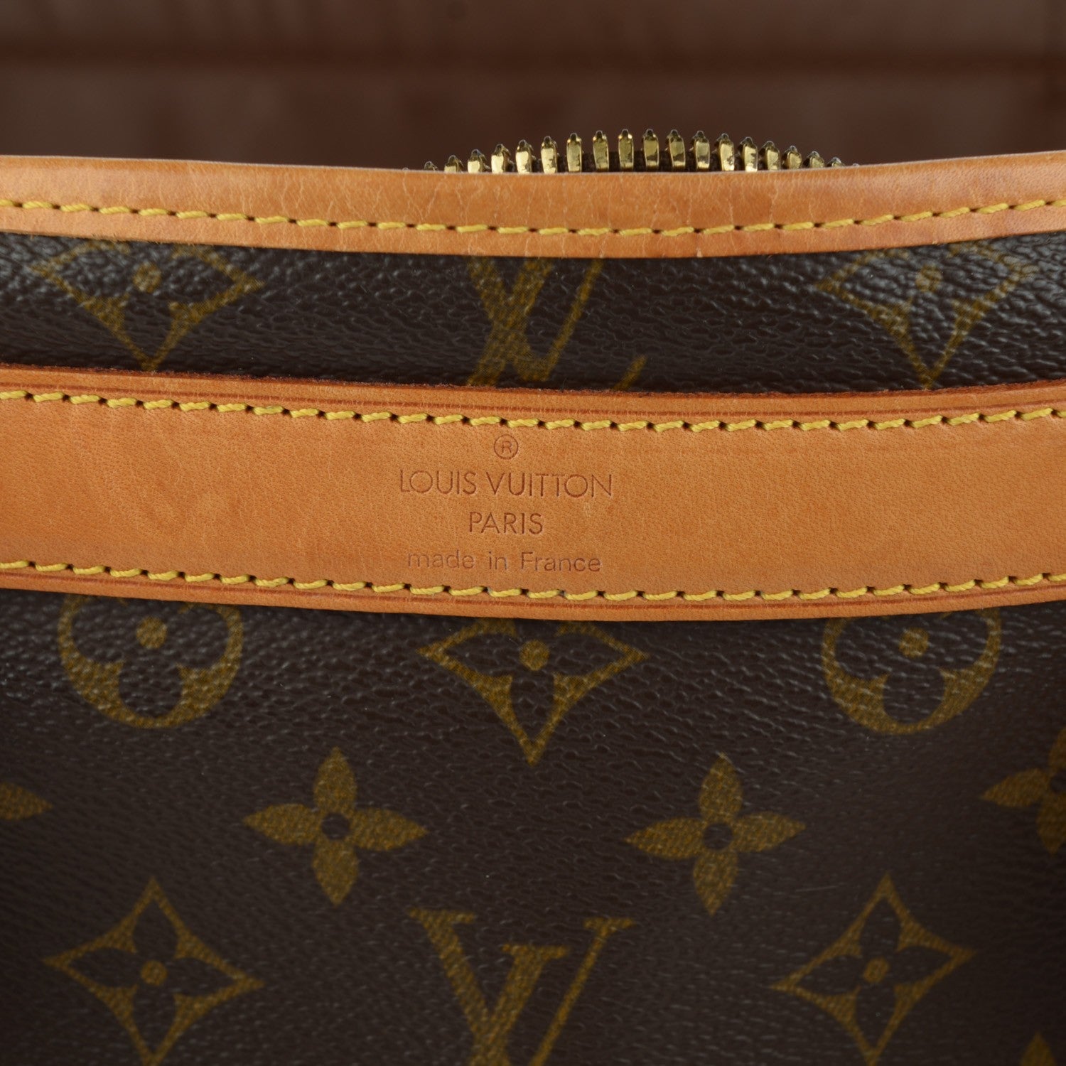 Louis Vuitton Monogram Sac Chien 40 Pet Carrier 9 of 12