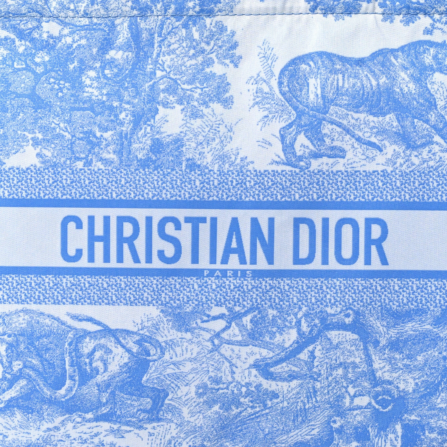 Christian Dior Reverse Technical Fabric Toile De Jouy Diortravel Zipped Pouch Fluorescent Blue 7 of 10