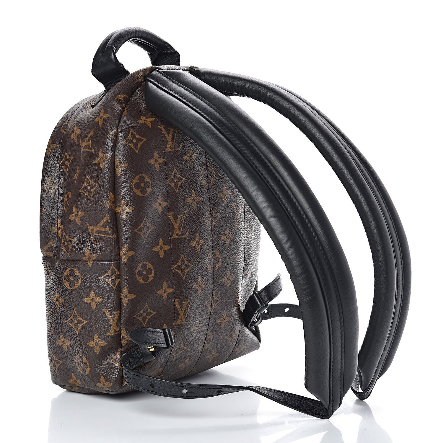 Louis Vuitton Monogram Palm Springs Backpack PM 3 of 8