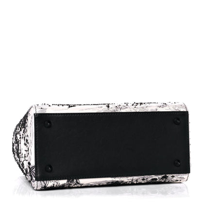 Christian Dior Ultra Matte Embroidered Medium Lady Dior Black 3 of 15
