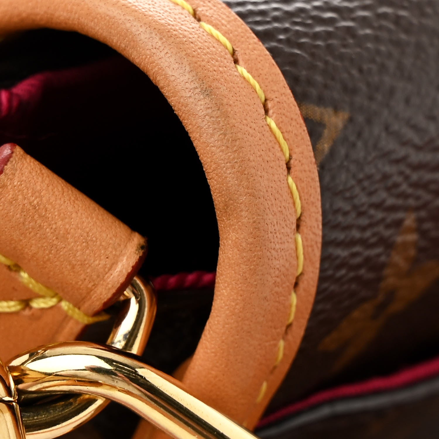 Louis Vuitton Monogram Diane Fuchsia 11 of 12